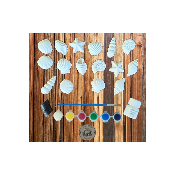 16 Adet (3D) Deniz Kabuğu Figürlü Taş Boyama Seti Çocuk Gelişimi Etkinlik Seti Zoo Stone Painting