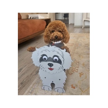 Köpek Saksı Standı Poodle Cins