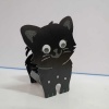 MİNİK KEDİ SAKSI STANDI