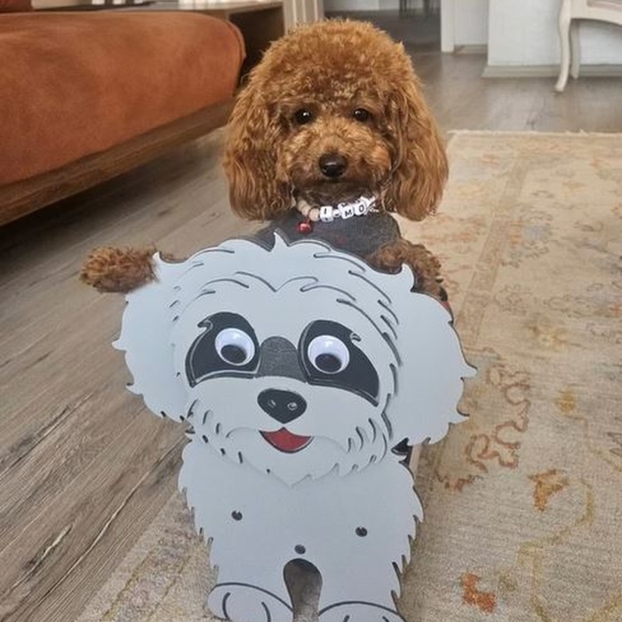 Köpek Saksı Standı Poodle Cins