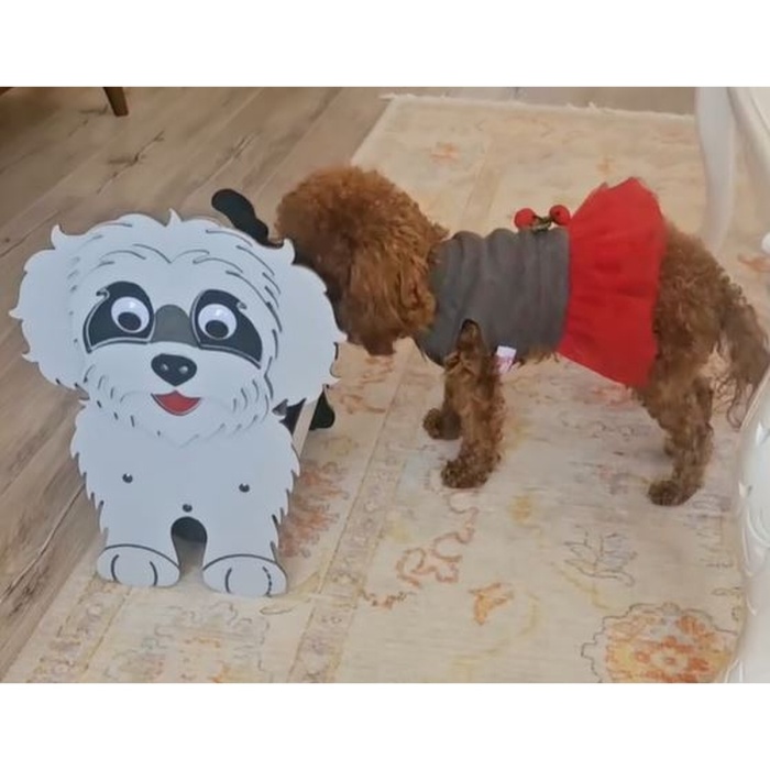 Köpek Saksı Standı Poodle Cins