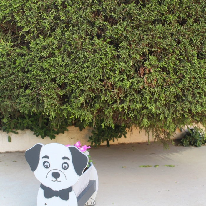 Köpek Saksı Standı