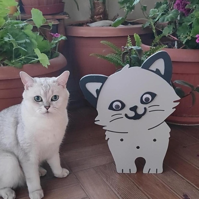 Saksı-Kedi Saksı Standı