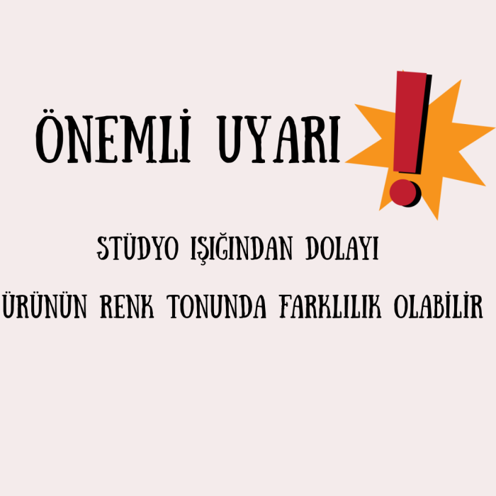 Fantezi Yılbaşı Erkek Tangası BC4619