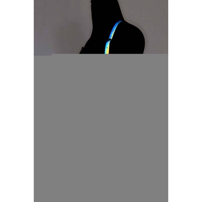 Renkli Reflektörlü Göğüs Harness, Karanlıkta Parlayan Göğüs Harness - APFT205