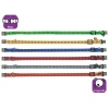 Kedi Tasma Çing. 25-35Cm Karişik Renkli