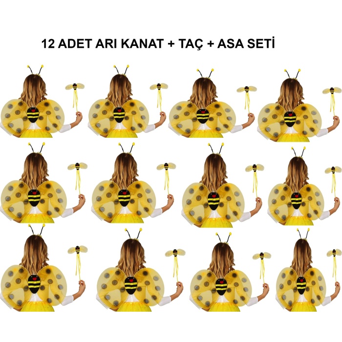 Okul Gösterileri için 12&#39;li Arı Kanadı Seti - Etkinlik Kanatları