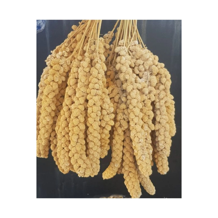 Vitaking Kuşlar İçin Doğal Sarı Dal Darı 100 gr
