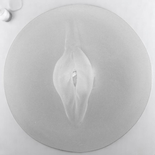 Yeni Nesil Şeffaf Sleeve Plus Penis Pompası Için Vajina Başlık