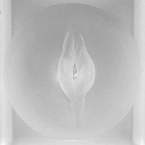 Yeni Nesil Şeffaf Sleeve Plus Penis Pompası Için Vajina Başlık