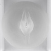 Yeni Nesil Şeffaf Sleeve Plus Penis Pompası Için Vajina Başlık