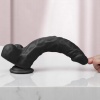 Gabriel 24 CM Vantuzlu Uzun Gerçekçi Realistik Zenci Penis Dildo