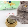 Kedi Otu Oyun Topu