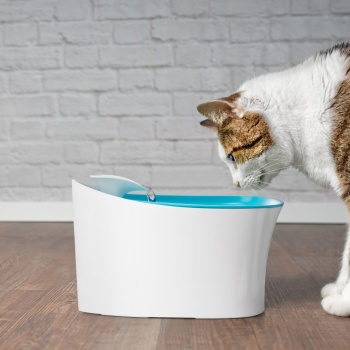 Otomatik Uyarılı Kedi Köpek Su Kabı