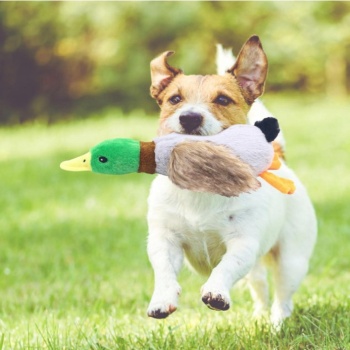 Sesli Ördek Şekilli Peluş Köpek Oyuncağı