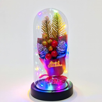 Yılbaşı Temalı Işıklı Dekoratif Cam Fanus - Model 3