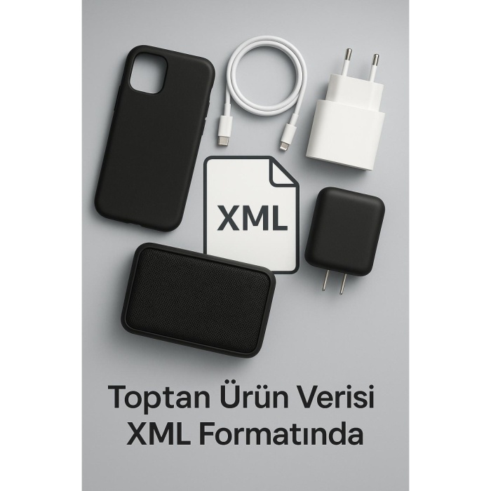 ONLİNE ÇIKTI HİZMETİ/XML (1 YILLIK )