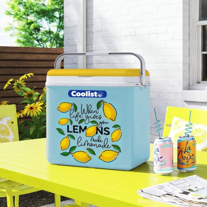 Coolist CLB24LM 24 Litre Limon Desenli Buzluk + 2 Adet 400gr. Buz Kaseti