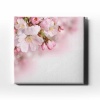 Bahar Cicegi Kanvas Tablo