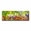 Bahar Cicekleri Panoramik Kanvas Tablo