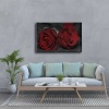 Kirmizi Gul Kanvas Tablo