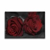 Kirmizi Gul Kanvas Tablo