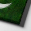 Pakistan Bayragi Kanvas Tablo