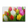 Renkli Lale Kanvas Tablo