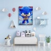 Sonic Boom Cocuk Kanvas Tablo