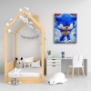 Sonic Boom Cocuk Kanvas Tablo