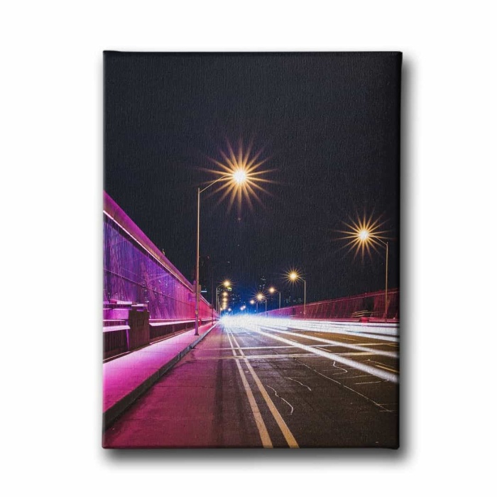 Agac Kutugu Canvas Tablo