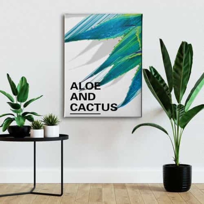 Aloe And Cactus Canvas Tablo