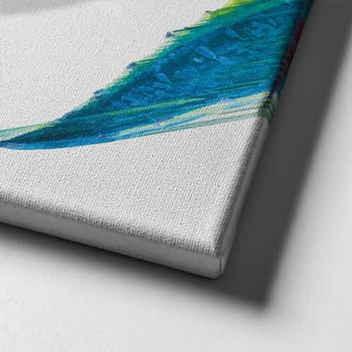 Aloe And Cactus Canvas Tablo