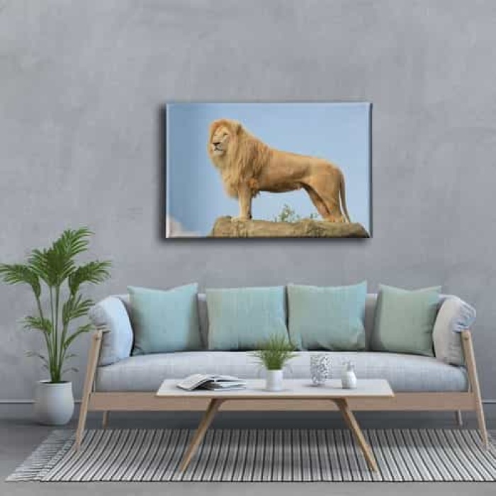 Aslan Kanvas Tablo