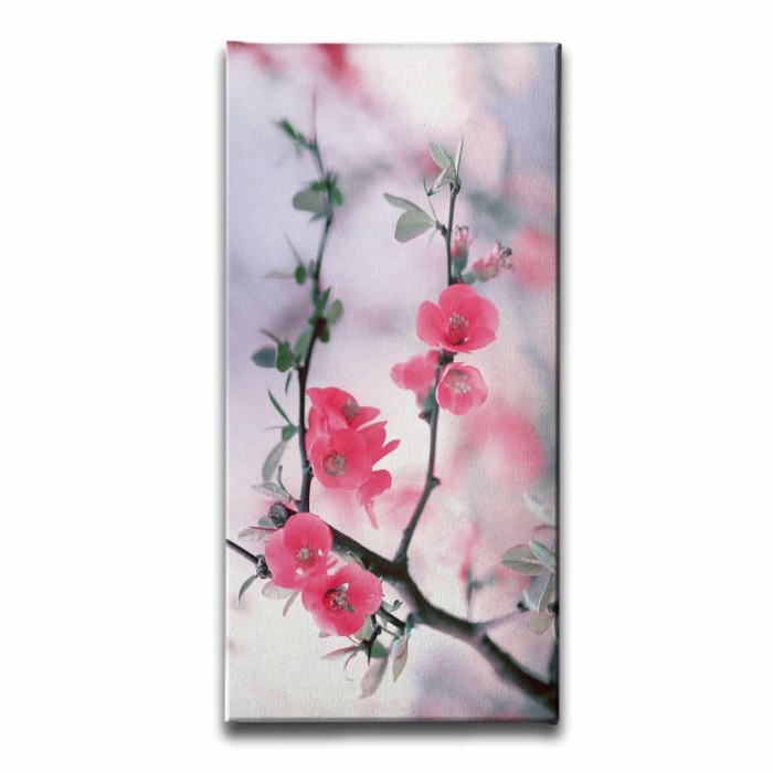 Bahar Cicegi Kanvas Tablo