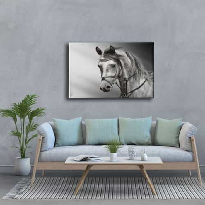 Beyaz At Kanvas Tablo