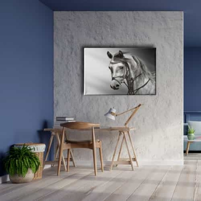 Beyaz At Kanvas Tablo