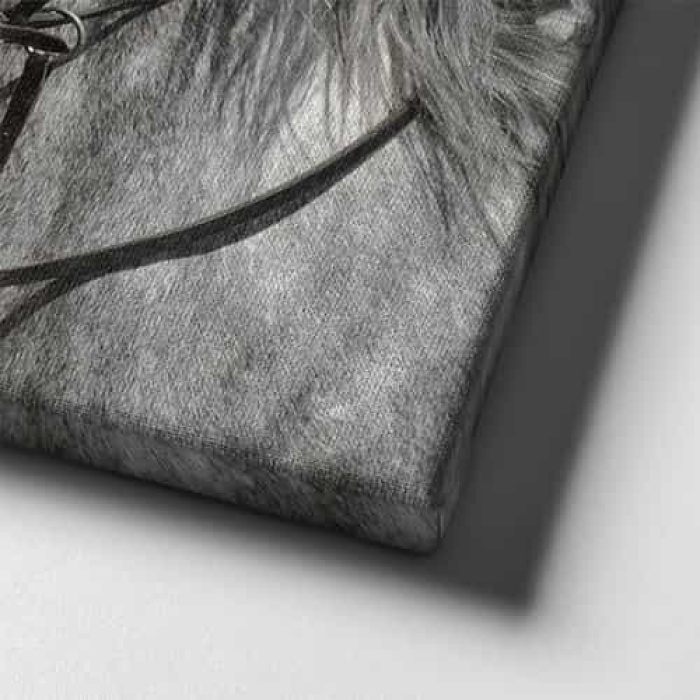 Beyaz At Kanvas Tablo