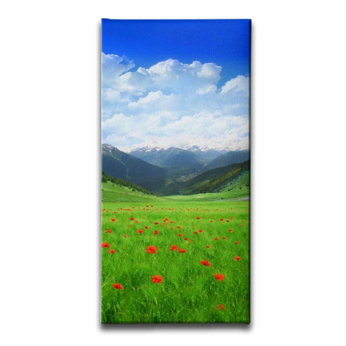 Cicek Bahcesi Kanvas Tablo