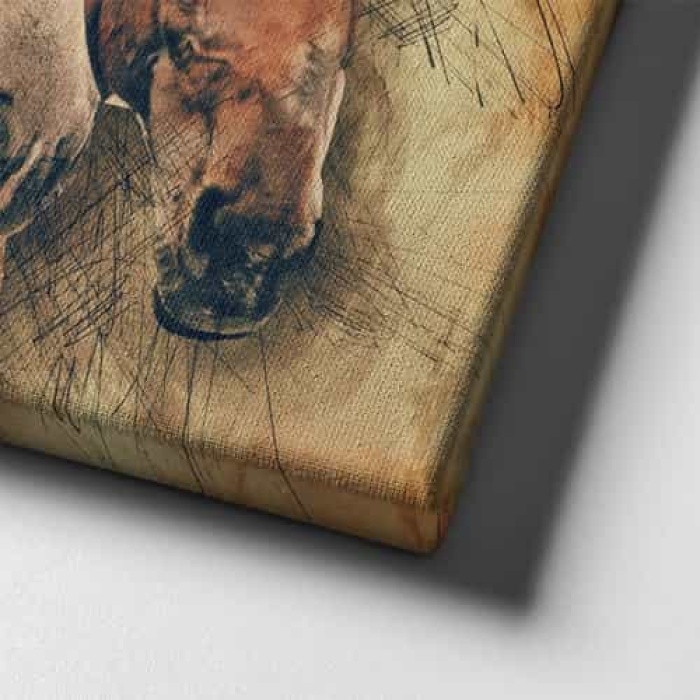 Cizim Atlar Kanvas Tablo