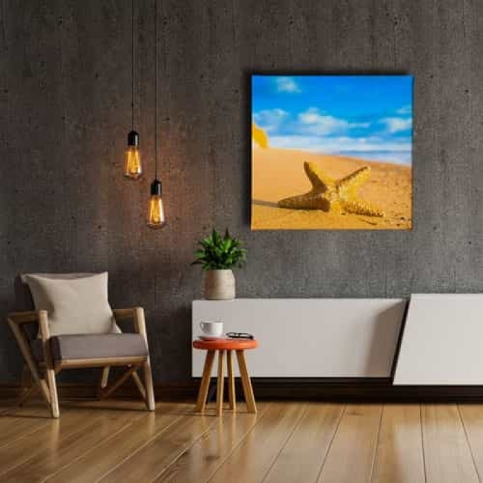 Deniz Yildizi  Canvas Tablo