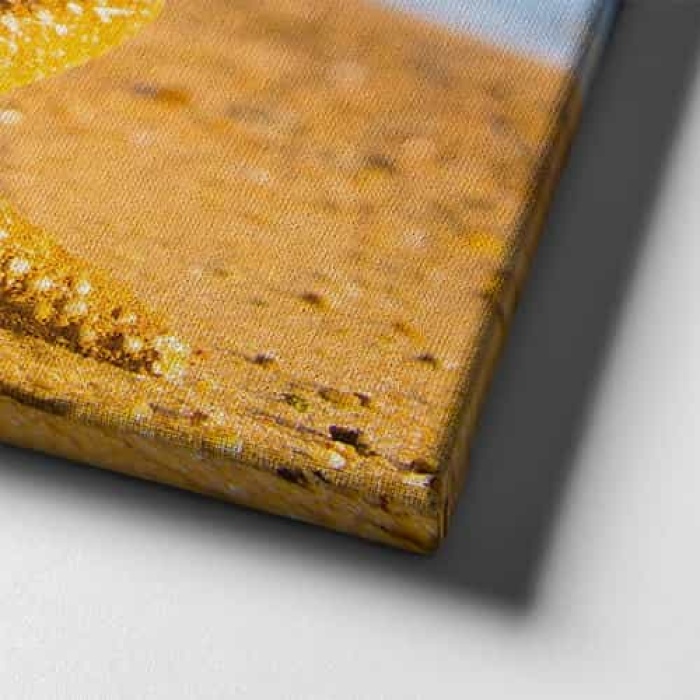 Deniz Yildizi  Canvas Tablo