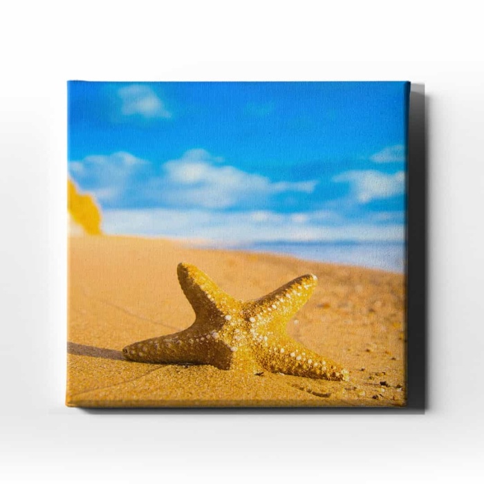 Deniz Yildizi  Canvas Tablo