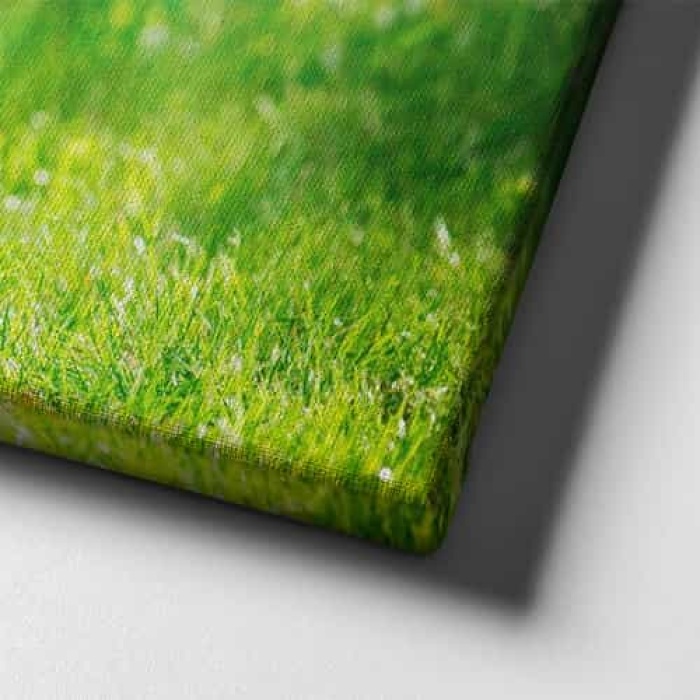 Elma Sepeti Kanvas Tablo