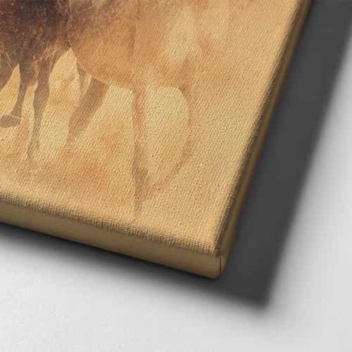 Eskitme Atlar Kanvas Tablo