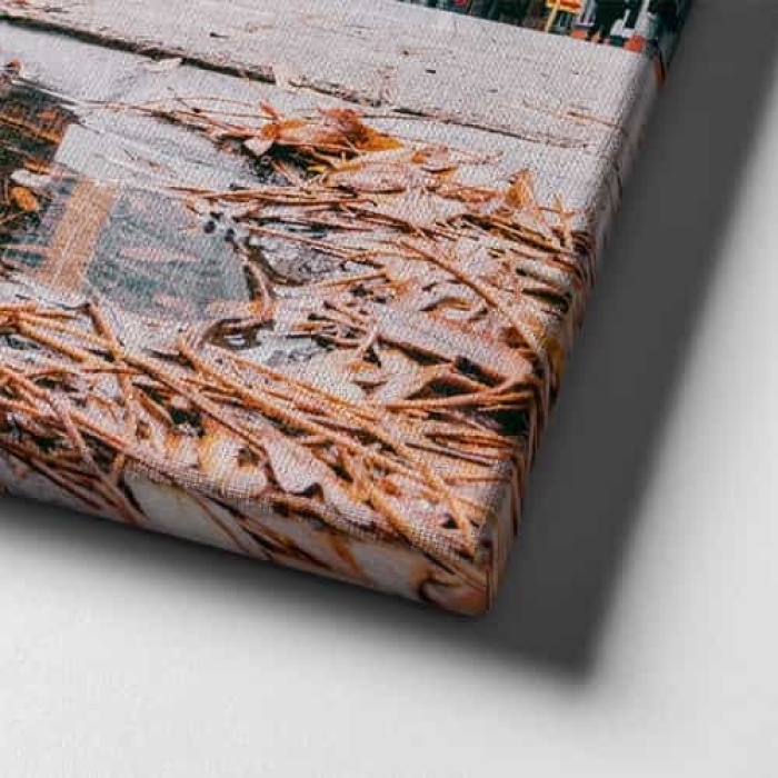 Flatiron Binasi Canvas Tablo