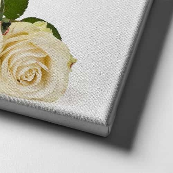 Kadeh - Beyaz Gul Kanvas Tablo