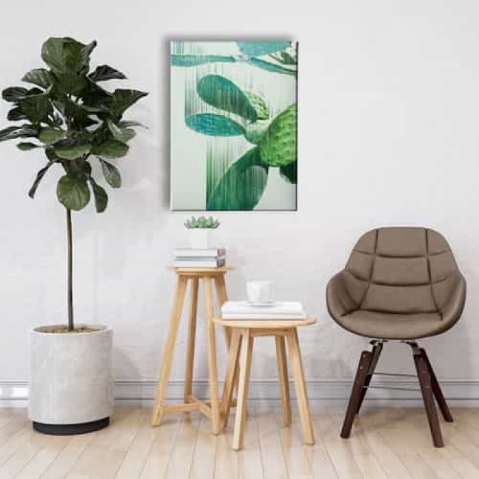 Kaktus Canvas Tablo