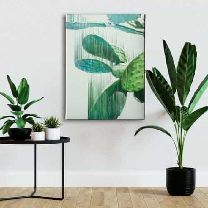 Kaktus Canvas Tablo