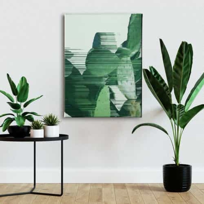 Kaktus Canvas Tablo